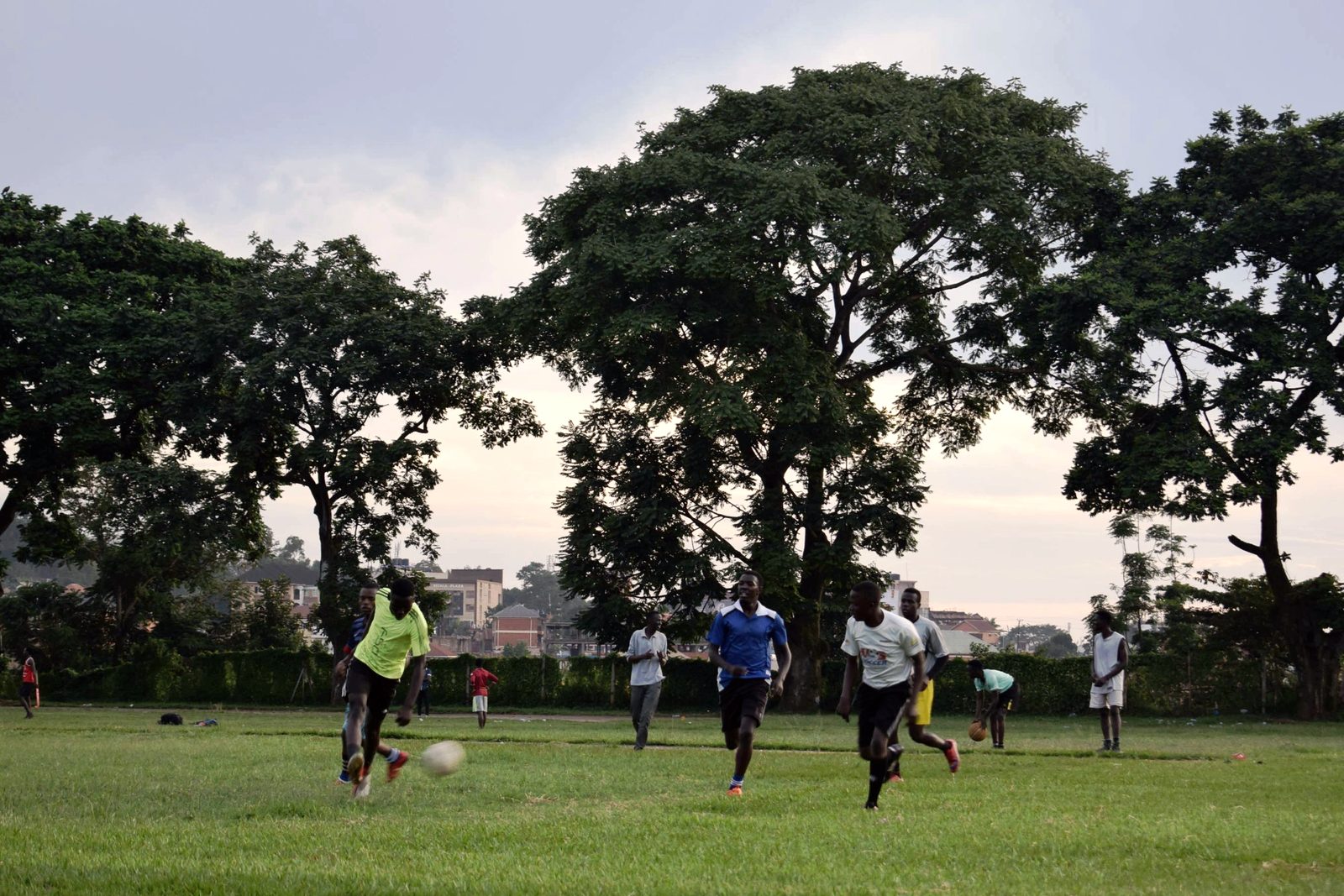 Players at a training session